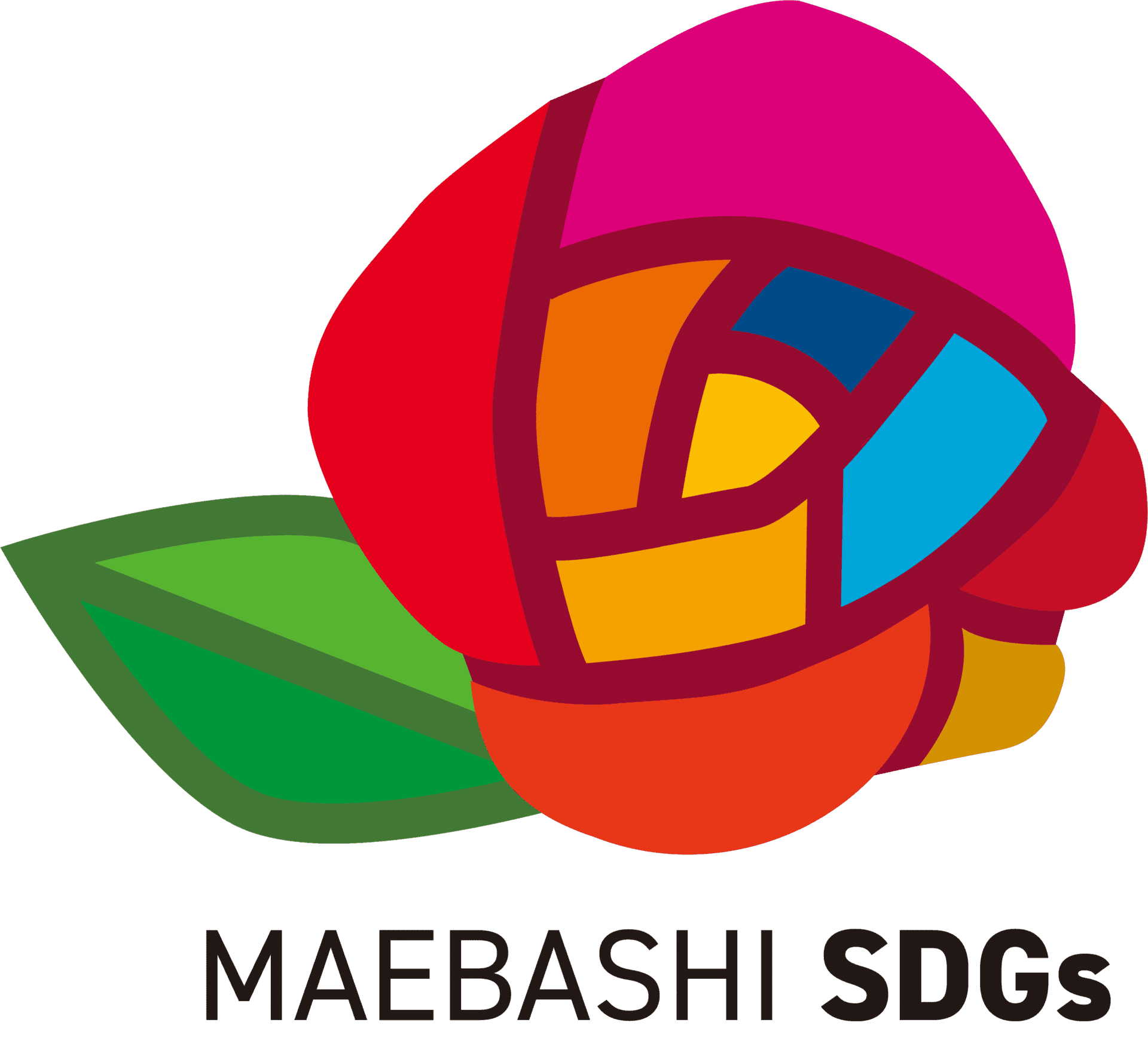 前橋SDGs